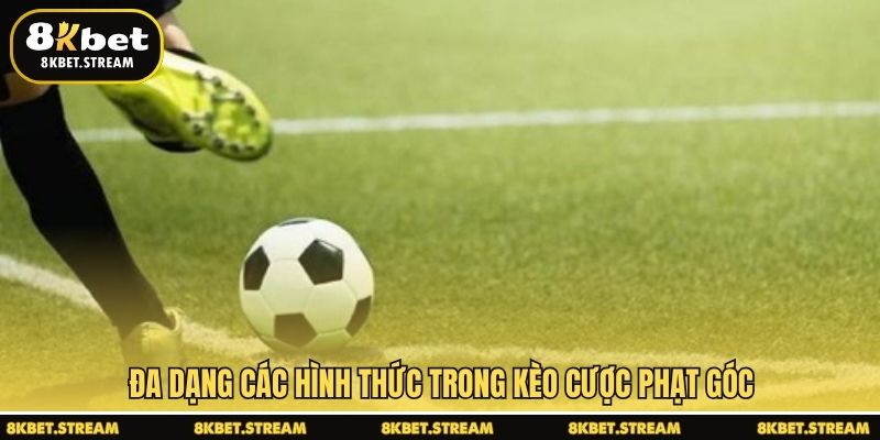 Đa dạng các hình thức trong kèo cược phạt góc