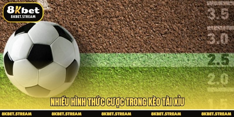 Nhiều hình thức cược trong kèo tài xỉu